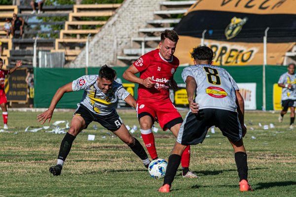 La Gioia degli Animali Domestici